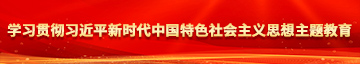 激情骚逼网学习贯彻习近平新时代中国特色社会主义思想主题教育